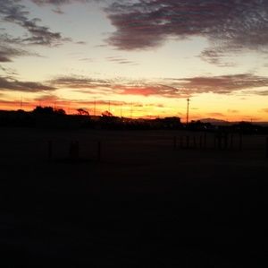 Meet your Posher, Wanda